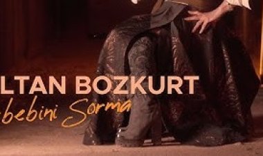 Sultan Bozkurt - Sebebini Sorma şarkı sözleri