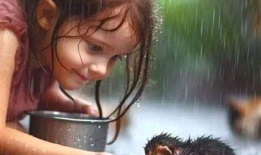 Vicdan barındıran bir el