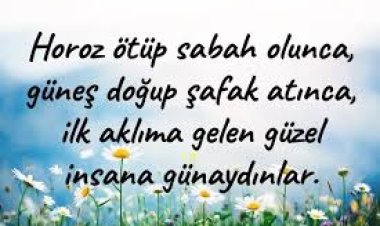 Güzel insanlar günaydın Mutlu huzurlu sabahlar