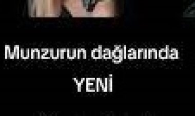 Nesrin Güneş  Özcan Türe - Munzurun Dağlarında şarkı sözleri