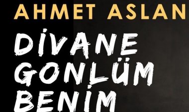 Ahmet Aslan - Divane Gönlüm  şarkı sözleri
