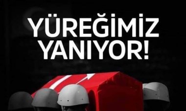 sehidin va rtürkiye