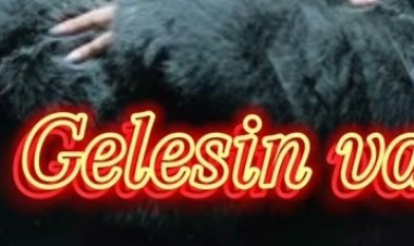 Giz - Gelesin Var şarkı sözleri