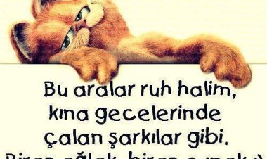 Alarm kuranlar uyandı hayal kuranlar uyuyor Günaydın millet