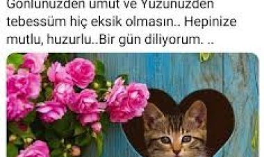 Mutlu olmaya bak sen