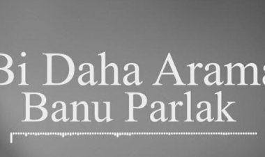 Banu Parlak - Bi Daha Arama şarkı sözleri