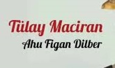 Tülay Maciran - Ahu Figan Dilber şarkı sözleri