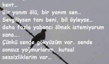 Cevdet Bağca   Ben Seni Yasaklarda Sevdim şarkı sözleri