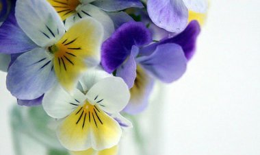 Günaydınn 25 Ocak Perşembe