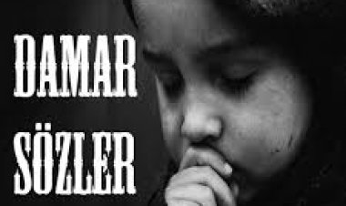 damar anlamlı sözler