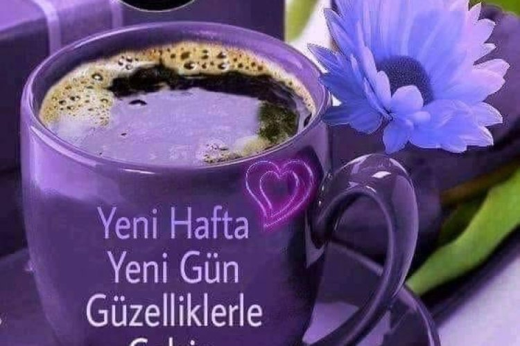 #günaydın #erkencitayfa #pazartesi