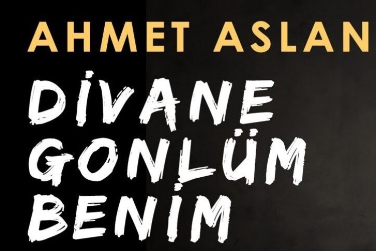 Ahmet Aslan - Divane Gönlüm