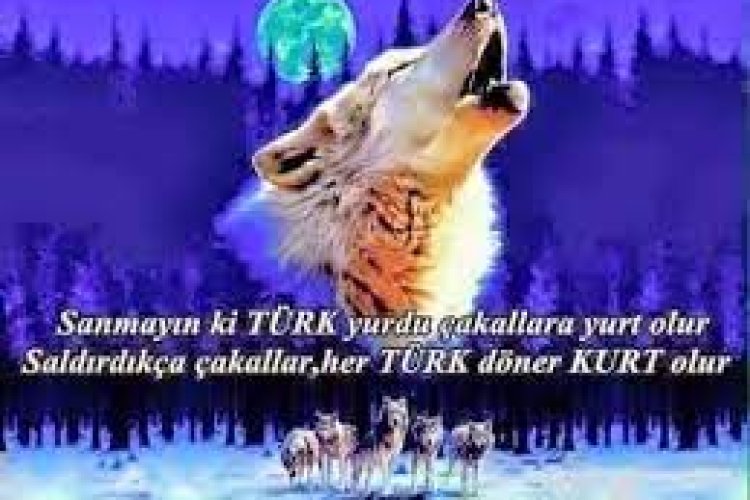 ŞehidinVarTürkiye