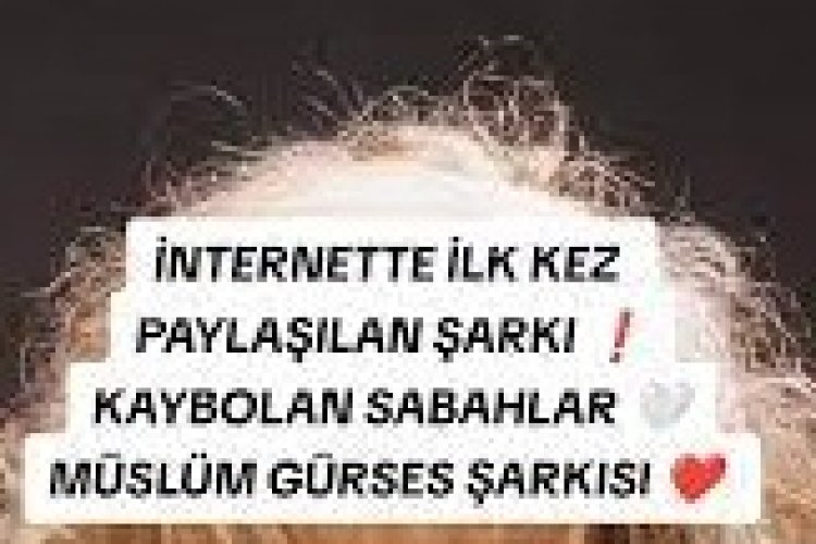Bergen - Kaybolan Sabahlar