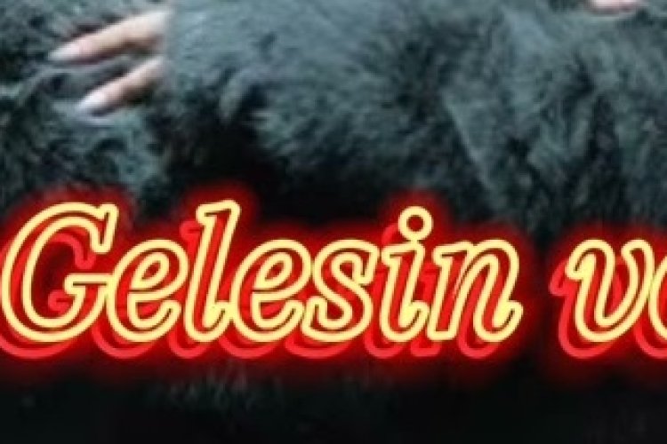 0:24 / 3:33 Giz - Gelesin Var