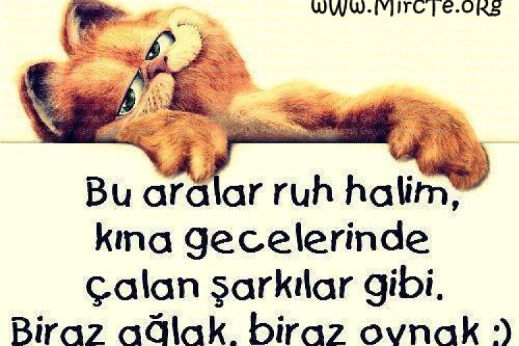 Alarm kuranlar uyandı hayal kuranlar uyuyor Günaydın millet