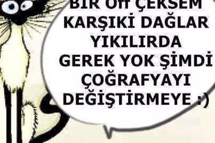 varsın burda düşsün