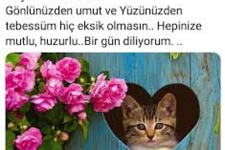 Mutlu olmaya bak sen