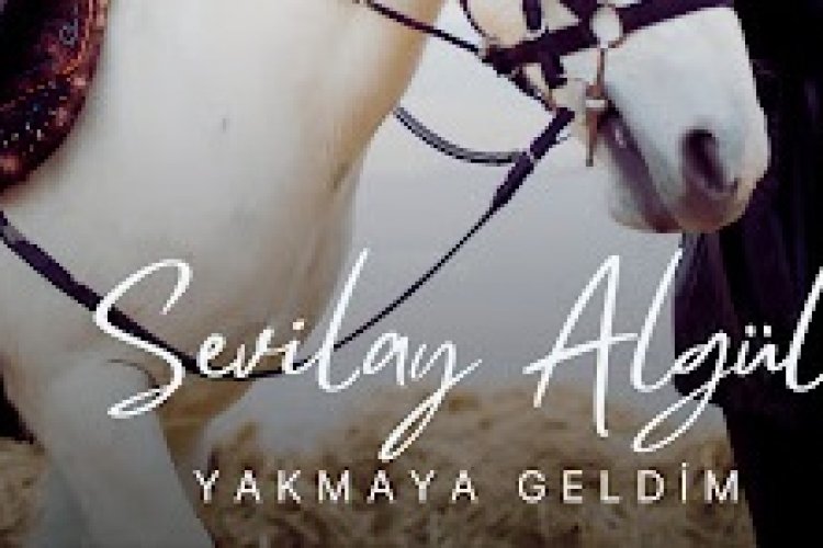 Sevilay Algül - Yakmaya Geldim