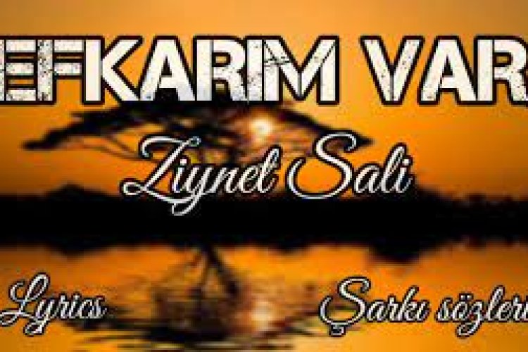 Ziynet Sali - Efkarım Var