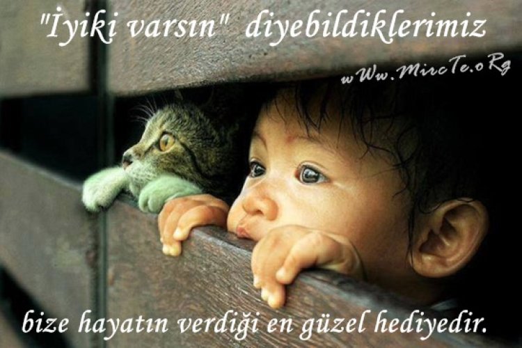 iltifatlı günaydın mesajı kısa