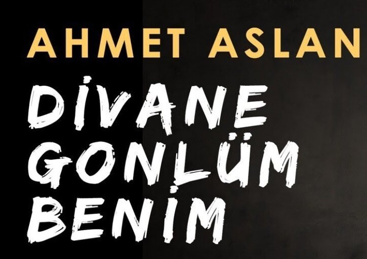 Ahmet Aslan - Divane Gönlüm  şarkı sözleri