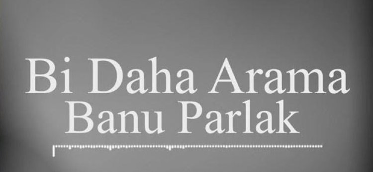 Banu Parlak - Bi Daha Arama şarkı sözleri