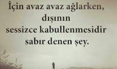 Ağzımı kıpırdatamıyor  olmam