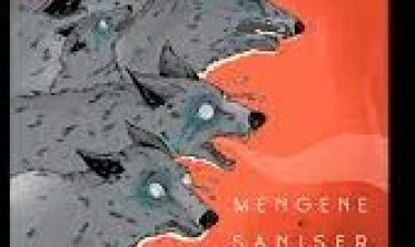 Mengene Şanışer - Sen Değilsin şarkı sözleri