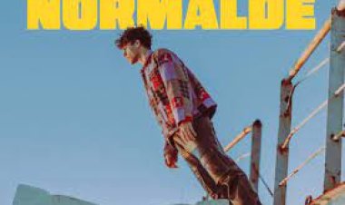 Ege Can Sal - Normalde şarkı sözleri