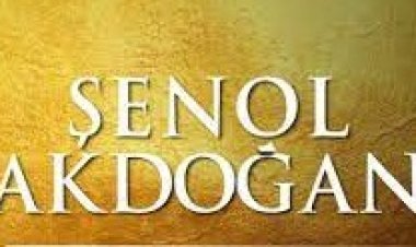 şenol Akdoğan - Sen İçerde Ben Dışarda şarkı sözleri