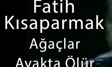 Fatih Kısaparmak | Ağaçlar Ayakta Ölür şarkı sözleri