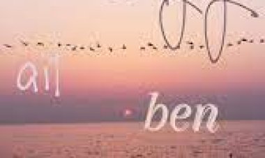 Can Bonomo - Tastamam şarkı sözleri