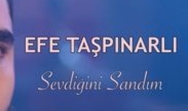 Efe Taşpınarlı - Sevdiğini Sandım şarkı sözleri