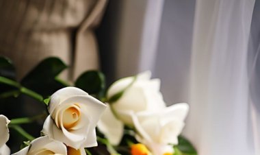 Günaydın çalışkanlar