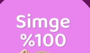 Simge - Misafir şarkı sözleri