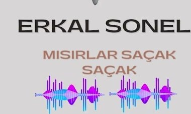 ERKAL SONEL - MISIRLAR SAÇAK SAÇAK ŞARKI SÖZLERİ