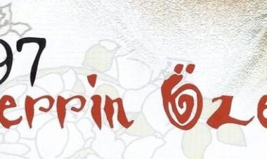 Zerrin Özer - Şimdi Hayallerdesin şarkı sözleri