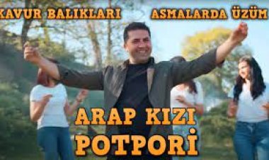 Şaban Gürsoy - Kavur Balıkları  şarkı sözleri