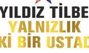 Yıldız Tilbe - Yalnızlık Eski Bir Ustadır Şarkı Sözleri