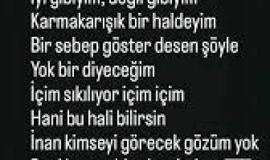 Sadık Karan - Bilemezsin şarkı sözleri