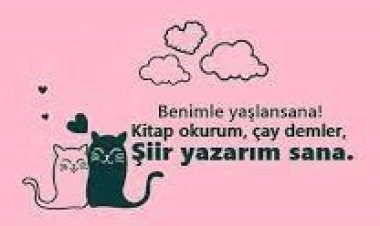 aşık edici sözler