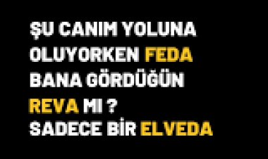 Oktay Kaya - Reva şarkı sözleri