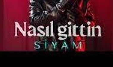 Siyam - Nasıl Gittin şarkı sözleri
