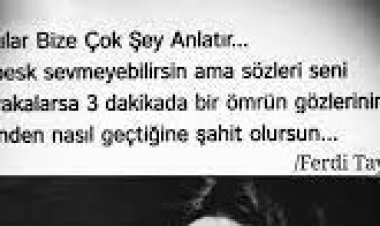 Ferdi Tayfur - Bilemezsin Sen Şarkı Sözleri