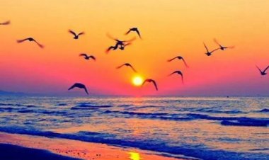 Çok güzel olsun haftan