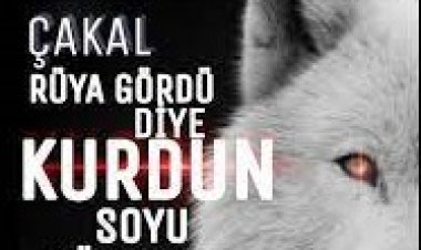 bozkurt aşk sözleri