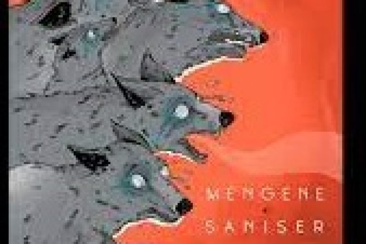 Mengene Şanışer - Sen Değilsin