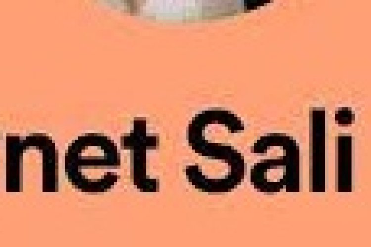 Ziynet Sali - İmkansız Bir Aşk Denir şarkı sözleri