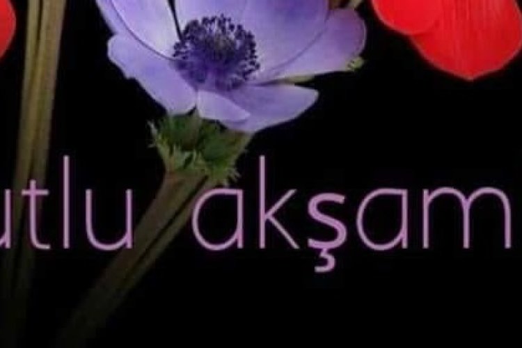 Güzel olsun pazar akşamınız